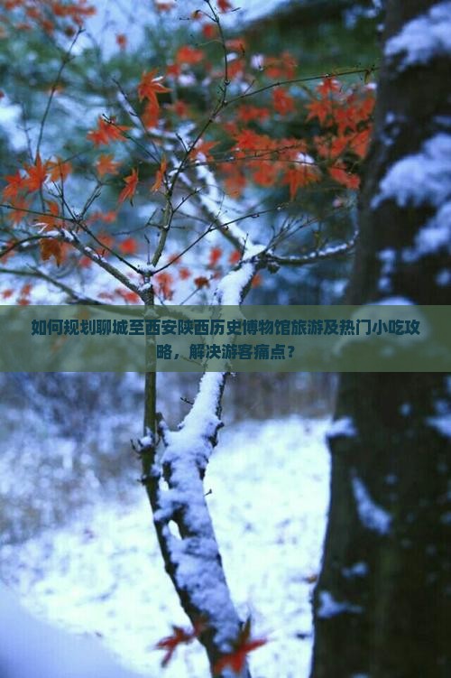 如何规划聊城至西安陕西历史博物馆旅游及热门小吃攻略，解决游客痛点？