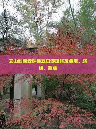 文山到西安钟楼五日游攻略及费用、路线、距离
