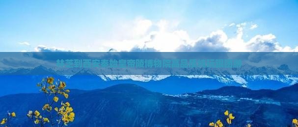 林芝到西安秦始皇帝陵博物院高品质纯玩跟团游
