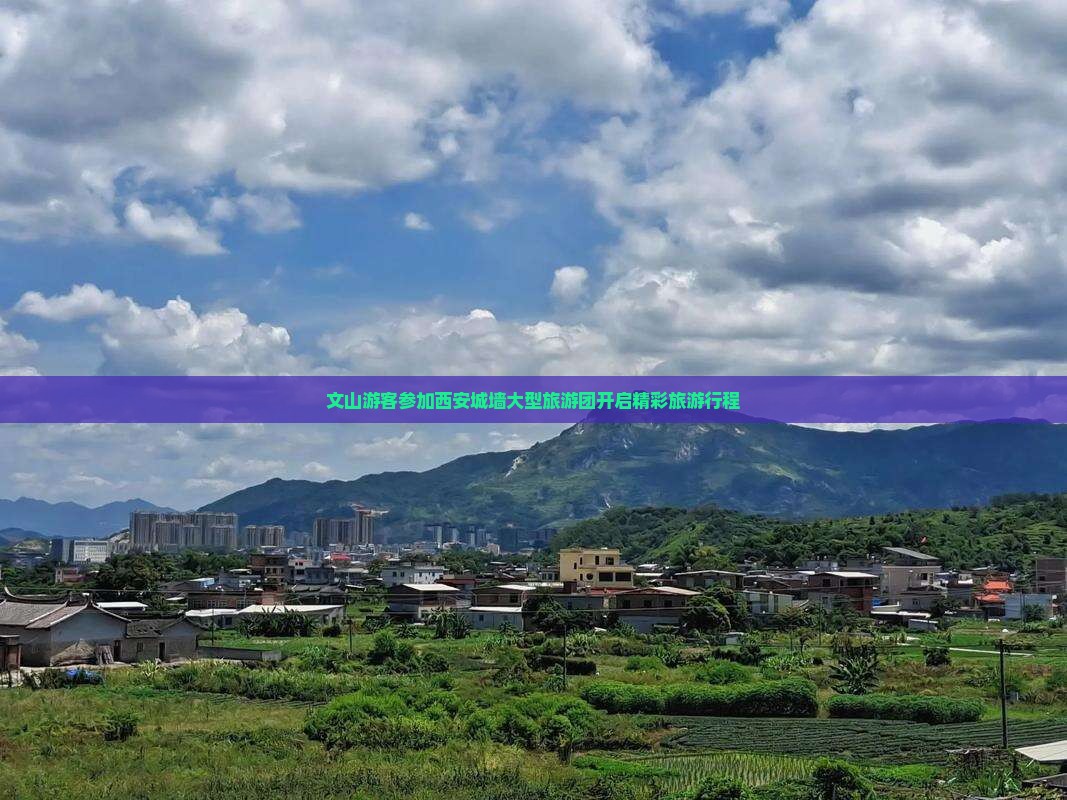 文山游客参加西安城墙大型旅游团开启精彩旅游行程
