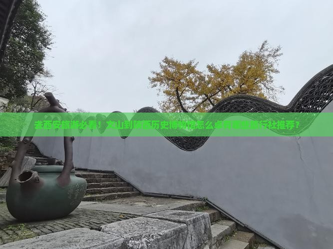 去西安旅游必看！文山到陕西历史博物馆怎么卓有哪些旅行社推荐？