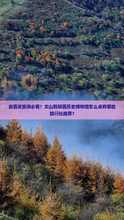 去西安旅游必看！文山到陕西历史博物馆怎么卓有哪些旅行社推荐？