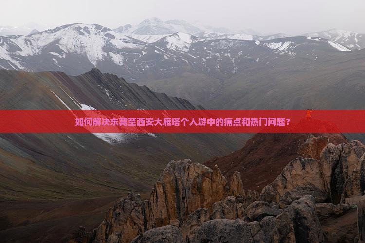 如何解决东莞至西安大雁塔个人游中的痛点和热门问题？
