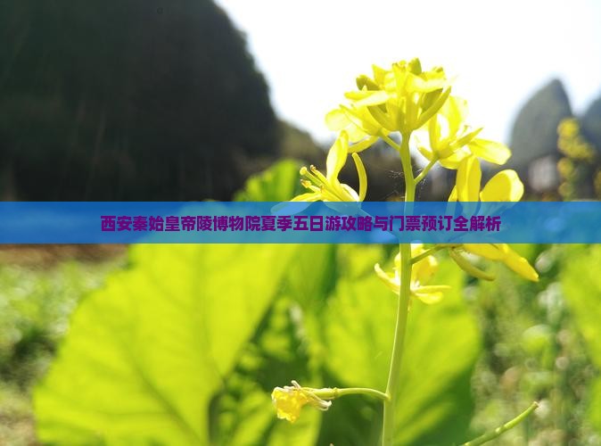 西安秦始皇帝陵博物院夏季五日游攻略与门票预订全解析