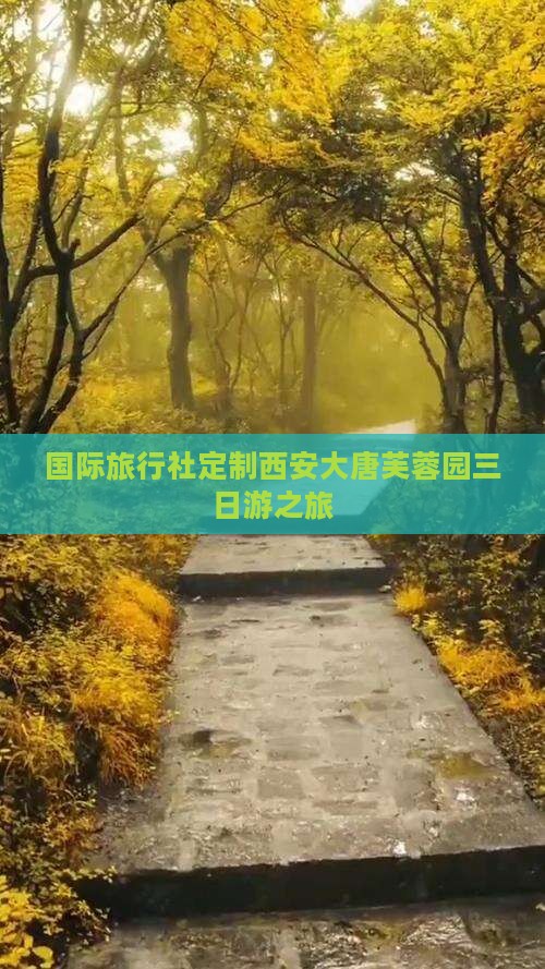 国际旅行社定制西安大唐芙蓉园三日游之旅