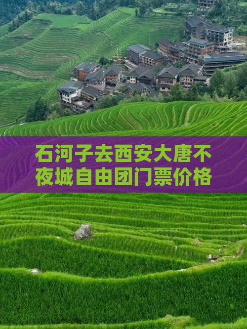 石河子去西安大唐不夜城自由团门票价格查询