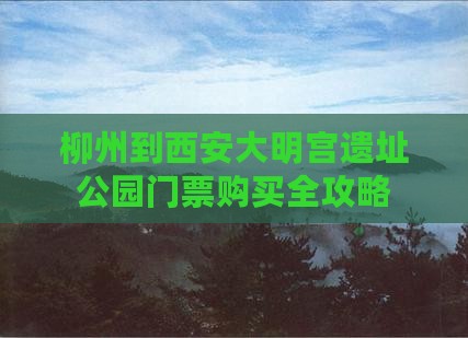 柳州到西安大明宫遗址公园门票购买全攻略