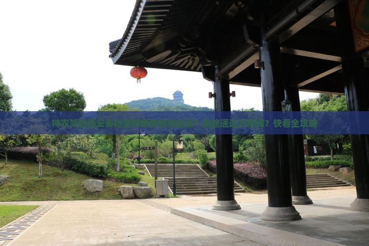 神农架到西安秦始皇帝陵博物院旅游？路途遥远太折腾？快看全攻略