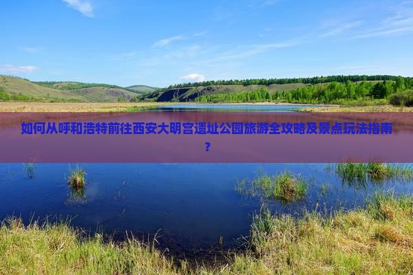 如何从呼和浩特前往西安大明宫遗址公园旅游全攻略及景点玩法指南？