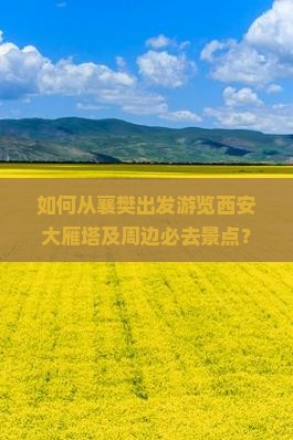 如何从襄樊出发游览西安大雁塔及周边必去景点？
