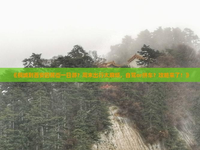 《桐城到西安回民街一日游？周末出行太麻烦，自驾or拼车？攻略来了！》