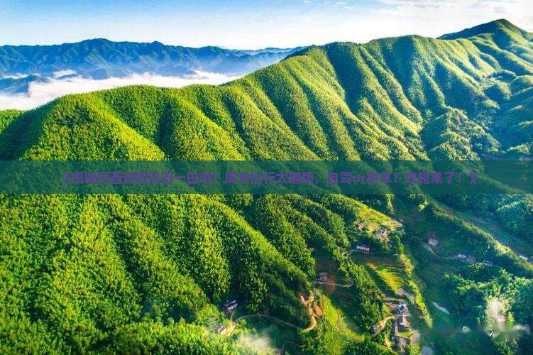 《桐城到西安回民街一日游？周末出行太麻烦，自驾or拼车？攻略来了！》