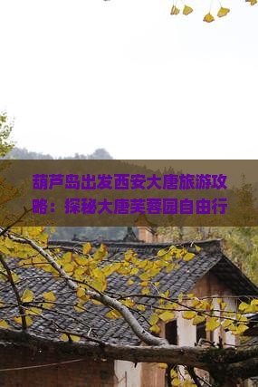 葫芦岛出发西安大唐旅游攻略：探秘大唐芙蓉园自由行团