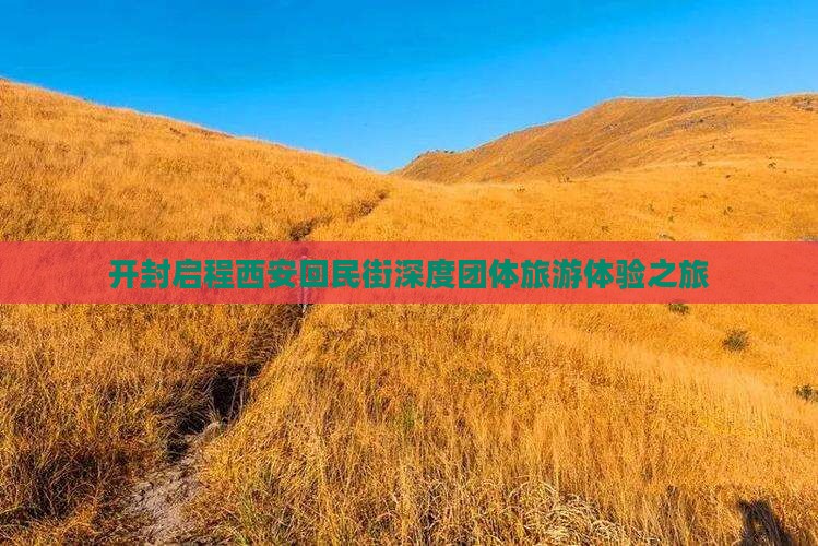 开封启程西安回民街深度团体旅游体验之旅
