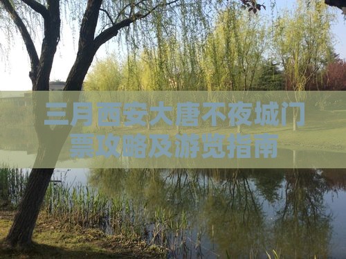 三月西安大唐不夜城门票攻略及游览指南