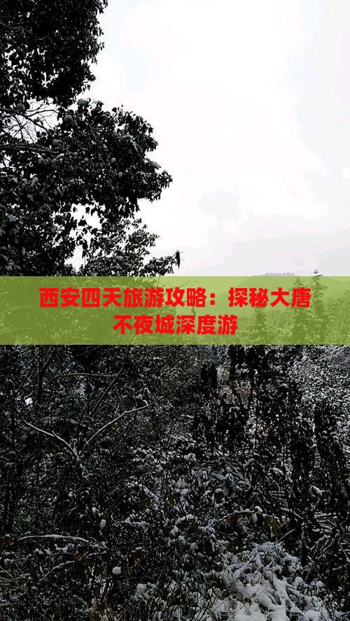 西安四天旅游攻略：探秘大唐不夜城深度游