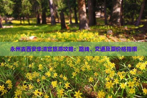 永州去西安华清宫旅游攻略：路线、交通及票价格指南