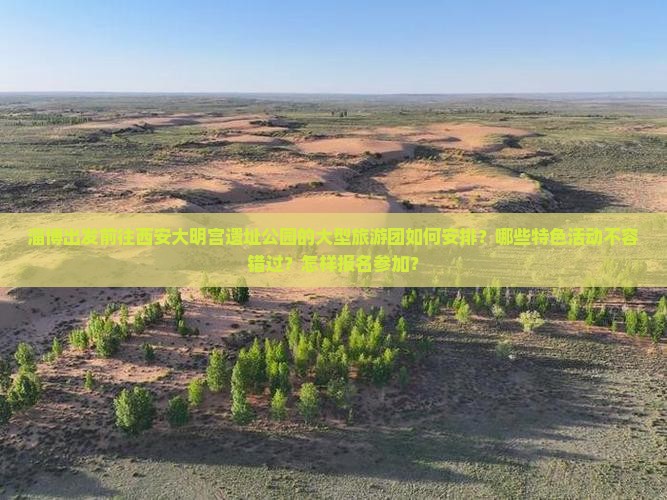 淄博出发前往西安大明宫遗址公园的大型旅游团如何安排？哪些特色活动不容错过？怎样报名参加？