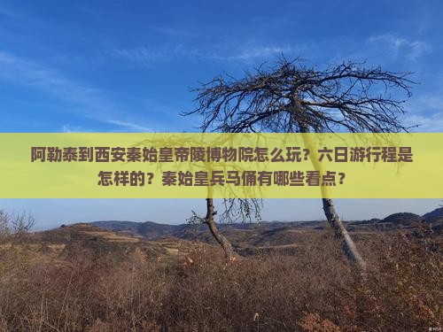 阿勒泰到西安秦始皇帝陵博物院怎么玩？六日游行程是怎样的？秦始皇兵马俑有哪些看点？