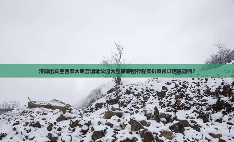 济源出发至西安大明宫遗址公园大型旅游团行程安排及预订信息如何？