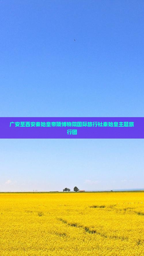 广安至西安秦始皇帝陵博物院国际旅行社秦始皇主题旅行团