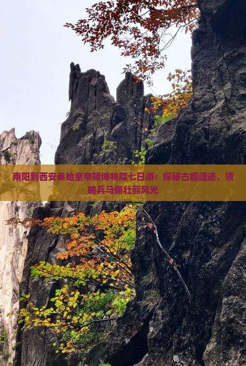 南阳到西安秦始皇帝陵博物院七日游：探秘古都遗迹，领略兵马俑壮丽风光