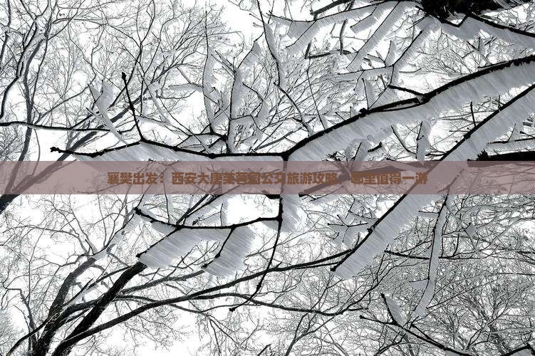 襄樊出发：西安大唐芙蓉园公交旅游攻略，哪里值得一游