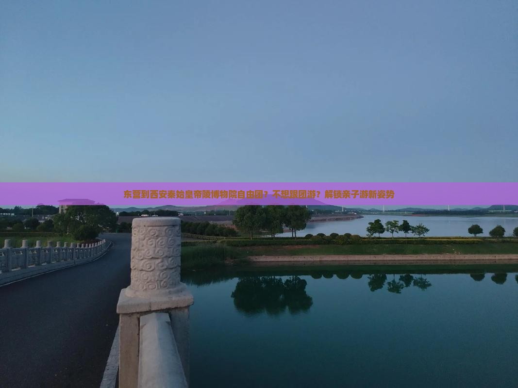 东营到西安秦始皇帝陵博物院自由团？不想跟团游？解锁亲子游新姿势