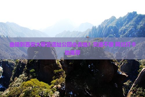 曲靖到西安大明宫遗址公园必去地？交通不便+网红打卡地推荐