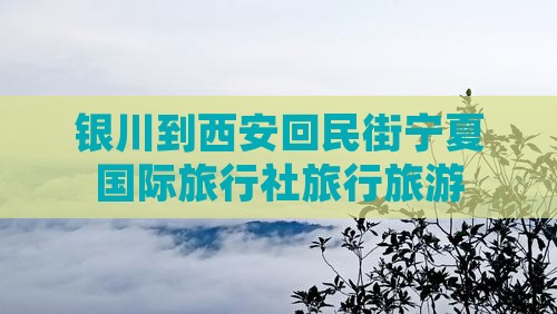 银川到西安回民街宁夏国际旅行社旅行旅游