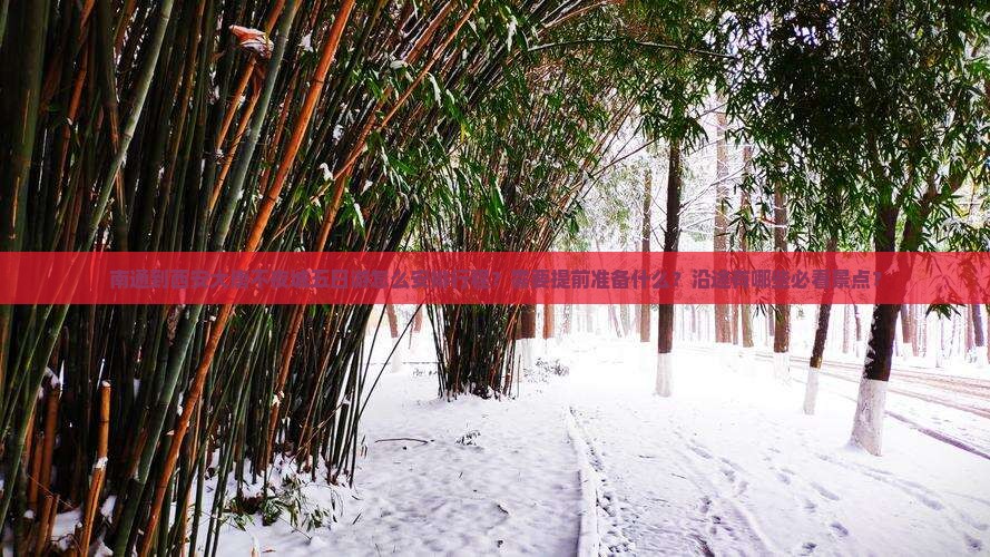南通到西安大唐不夜城五日游怎么安排行程？需要提前准备什么？沿途有哪些必看景点？