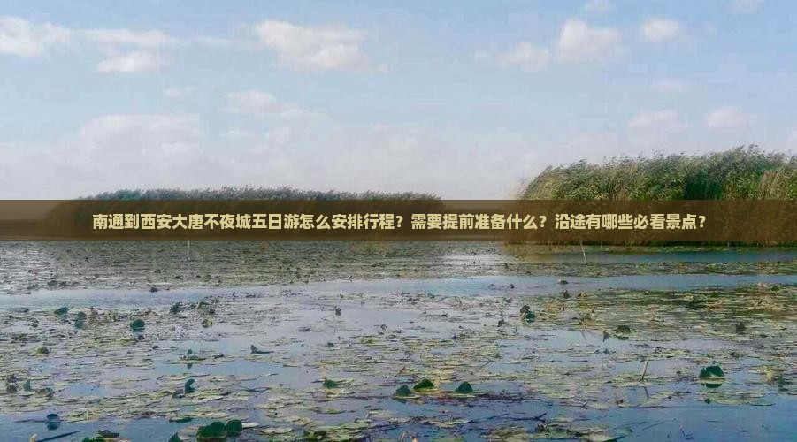 南通到西安大唐不夜城五日游怎么安排行程？需要提前准备什么？沿途有哪些必看景点？