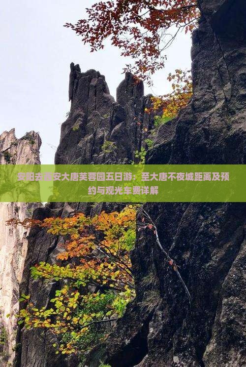 安阳去西安大唐芙蓉园五日游：至大唐不夜城距离及预约与观光车费详解