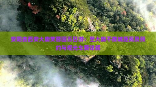 安阳去西安大唐芙蓉园五日游：至大唐不夜城距离及预约与观光车费详解