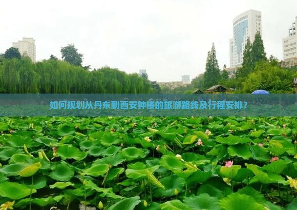 如何规划从丹东到西安钟楼的旅游路线及行程安排？