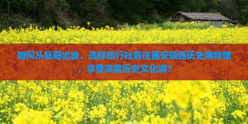 如何从襄阳出发，选择旅行社前往西安陕西历史博物馆，享受深度历史文化游？