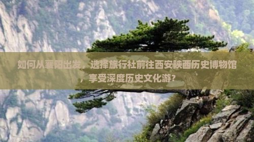 如何从襄阳出发，选择旅行社前往西安陕西历史博物馆，享受深度历史文化游？