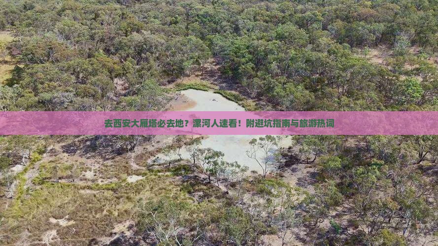 去西安大雁塔必去地？漯河人速看！附避坑指南与旅游热词