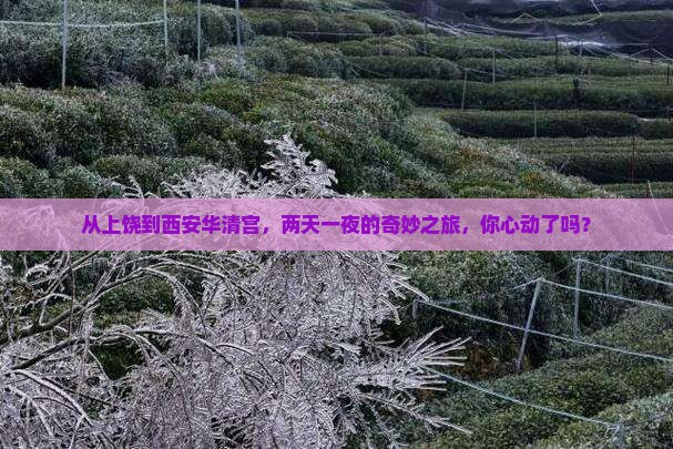 上饶去西安华清宫二日游