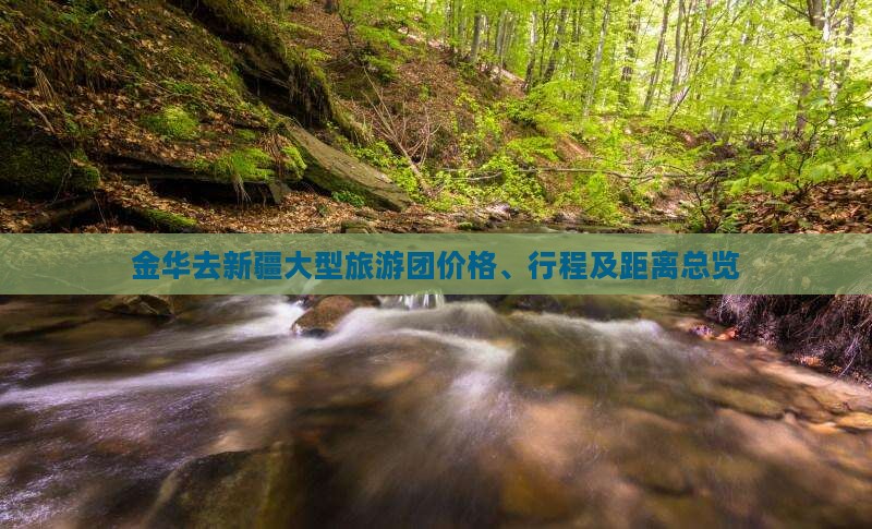 金华去新疆大型旅游团价格、行程及距离总览