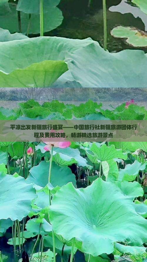 平凉出发新疆旅行盛宴——中国旅行社新疆旅游团体行程及费用攻略，畅游精选旅游景点