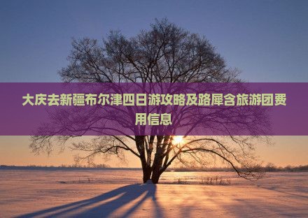 大庆去新疆布尔津四日游攻略及路犀含旅游团费用信息