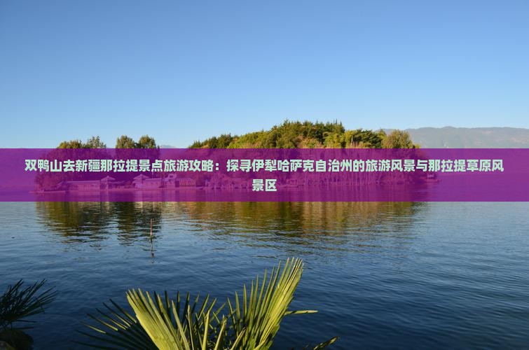 双鸭山去新疆那拉提景点旅游攻略：探寻伊犁哈萨克自治州的旅游风景与那拉提草原风景区