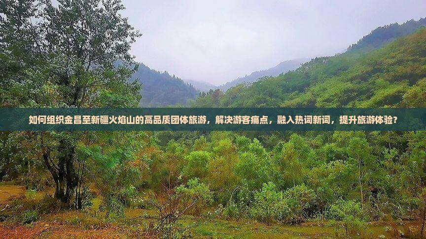 如何组织金昌至新疆火焰山的高品质团体旅游，解决游客痛点，融入热词新词，提升旅游体验？