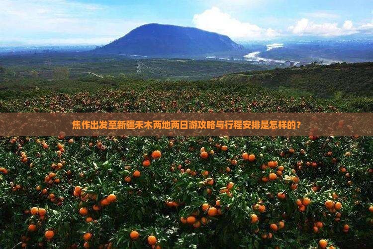 焦作出发至新疆禾木两地两日游攻略与行程安排是怎样的？