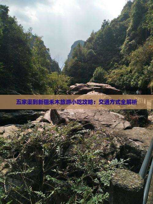 五家渠到新疆禾木旅游小吃攻略：交通方式全解析