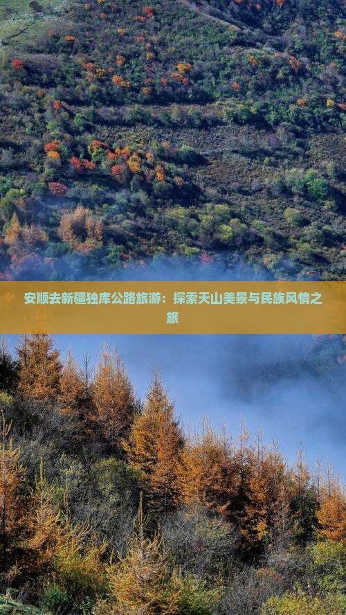 安顺去新疆独库公路旅游：探索天山美景与民族风情之旅