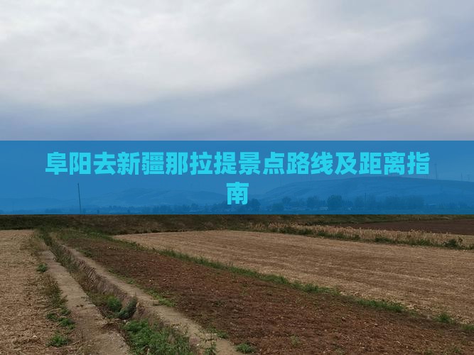 阜阳去新疆那拉提景点路线及距离指南