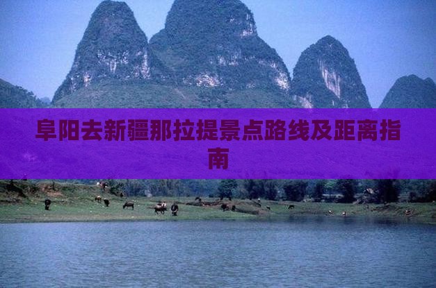 阜阳去新疆那拉提景点路线及距离指南