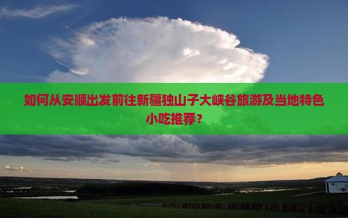 如何从安顺出发前往新疆独山子大峡谷旅游及当地特色小吃推荐？